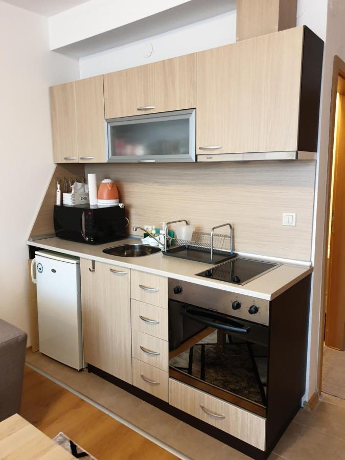 Private Studio In Aspen Golf And Ski Resort Razlog Kültér fotó